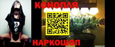 трава Можайск