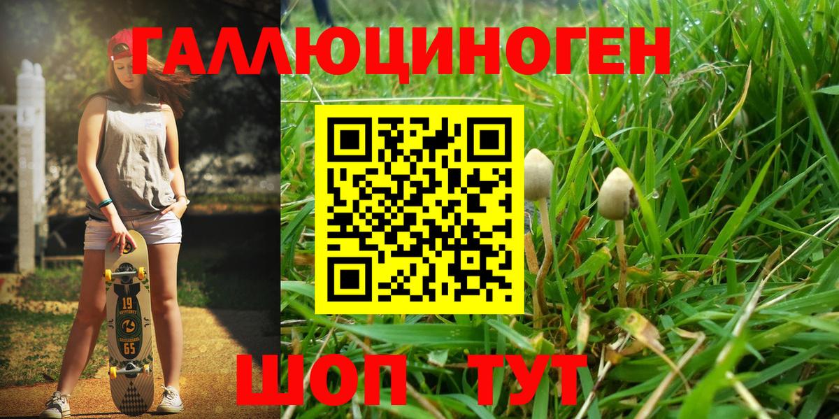 Галлюциногенные грибы ЛСД Шатура