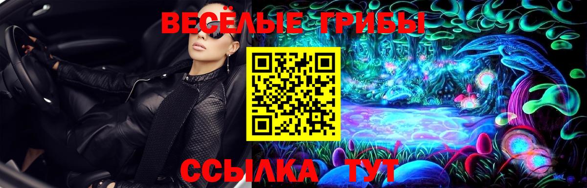 Шатура  Галлюциногенные грибы Magic Shrooms  Галлюциногенные грибы Psilocybe  Вход с VPN 